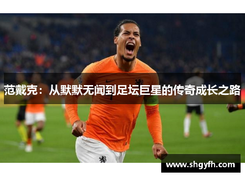 范戴克：从默默无闻到足坛巨星的传奇成长之路