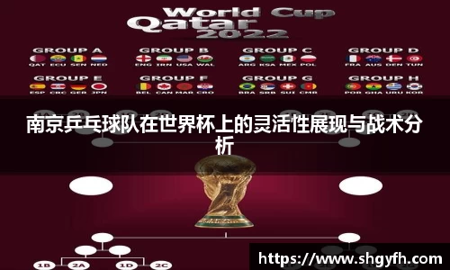 BB贝博艾弗森体育