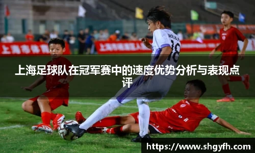 BB贝博艾弗森体育