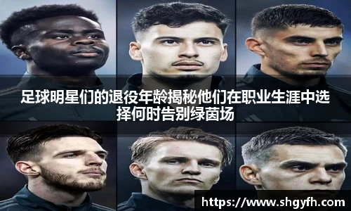 BB贝博艾弗森体育