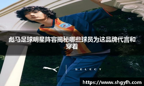 中国·BB贝博艾弗森(股份)有限公司-官方网站